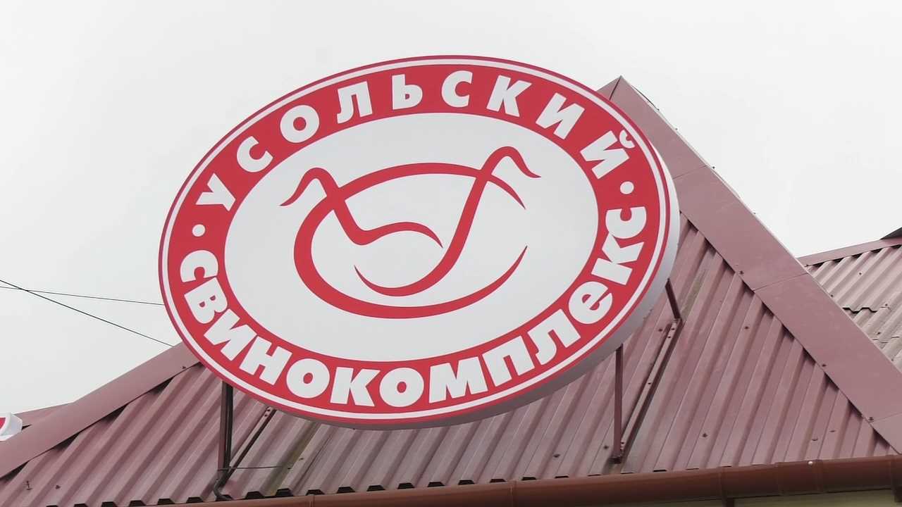 Усольский свинокомплекс 2024. Усольский свинокомплек. Котлеты Усольский свинокомплекс. Усольский свинокомплекс логотип. Продукция Усольского свинокомплекса.