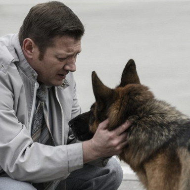 Киностудия Горького представила подборку знаменитых фильмов с котами-актерами