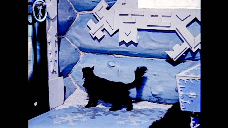 Киностудия Горького представила подборку знаменитых фильмов с котами-актерами