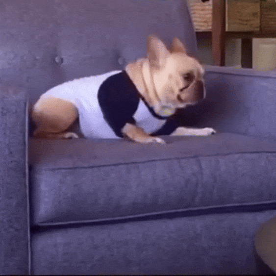 Маккенна Грейс на первом кадре сериала Netflix по «Скуби-Ду»