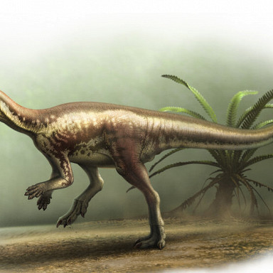 В Корее обнаружили останки маленького пушистого динозавра ― и назвали его в честь мульт-персонажа